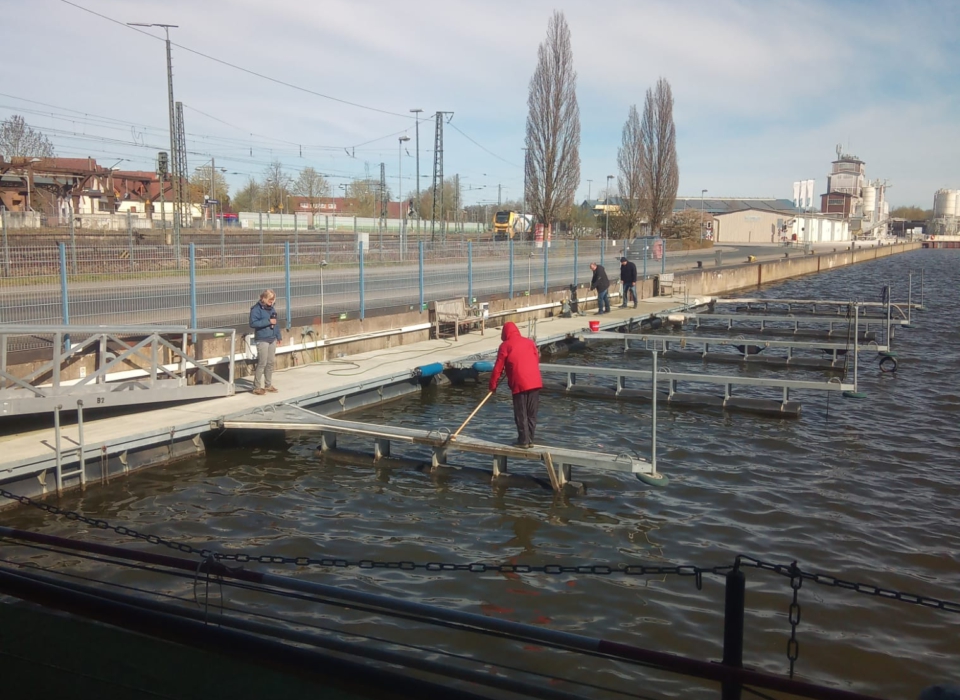IMG-20250405-WA0006
